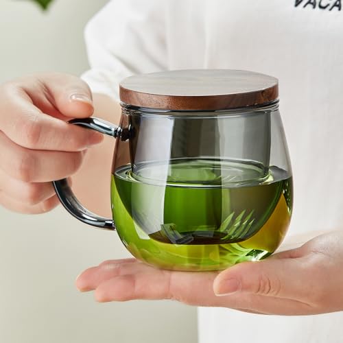 17 OZ Glass Tea Cup with Infuser and Lid (17 Fl Oz)