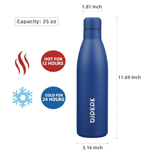 25 oz Insulated Stainless Steel Water Bottle