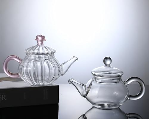 Mini Tea Pot Glass Teapot Small Tea Kettle for One person use
