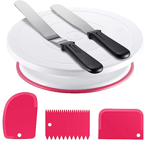 Cake Decorating Kit with Turntable Baking Supplies for Beginner Pros