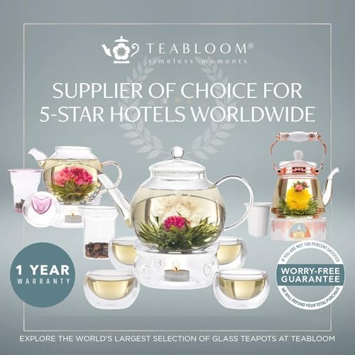 Stovetop & Microwave Safe Glass Teapot with Removable Loose Tea Glass Infuser