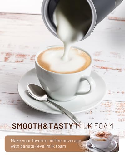 Milk Frother 4
