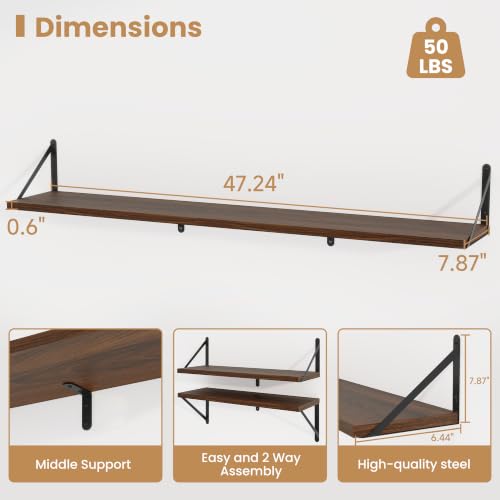 Floating Book Shelves for Wall (3 Count)