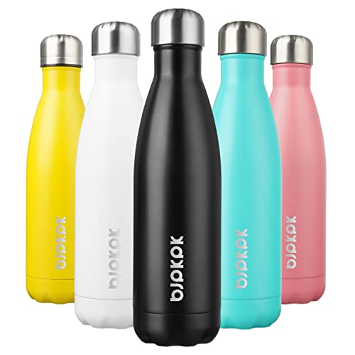 17 oz Insulated Water Bottle