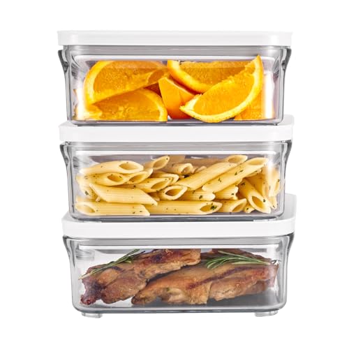 Premium Airtight Food Storage Container. Meal Prep 0.85qt 3pc (3 Count)