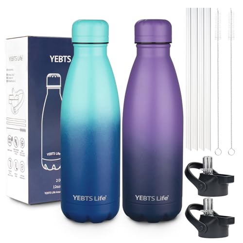Insulated Water Bottle (2 Count)