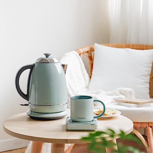 K640 Stainless Steel Electric Tea Kettle with Auto Shut