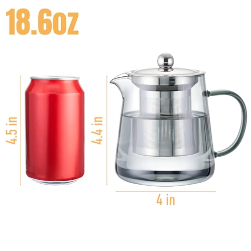 Clear Teapot Glass Kettle with Infuser