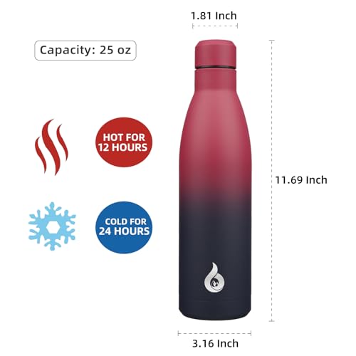 25 oz Insulated Stainless Steel Water Bottle