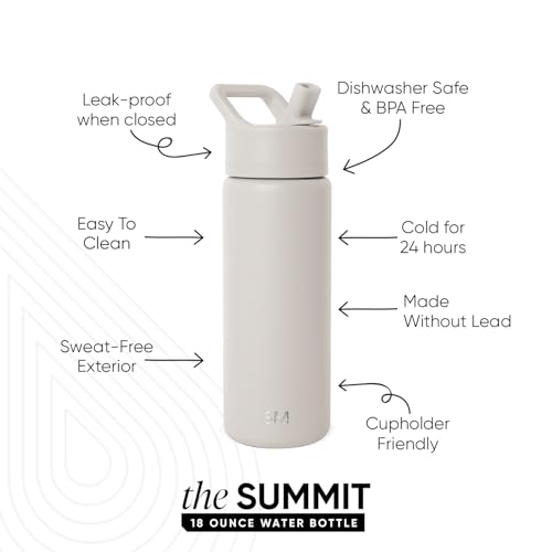 Insulated Water Bottle with Straw