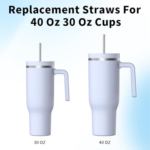 10 Pcs Stainless Steel Straw (12 Count)