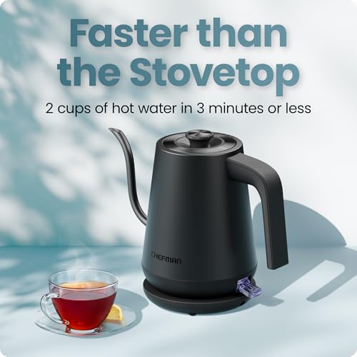 Gooseneck Electric Kettle