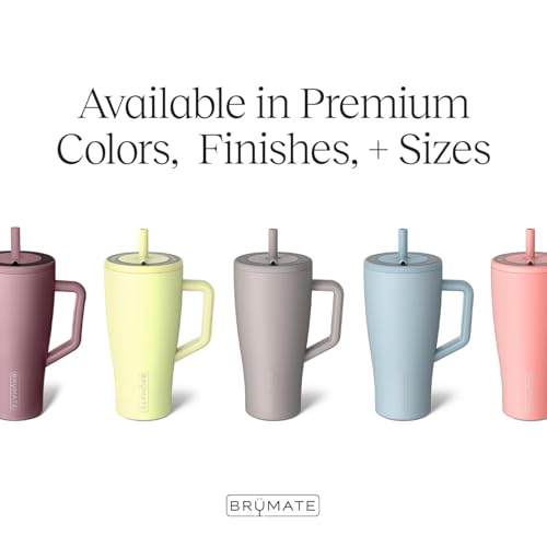 Era 30 oz Tumbler with Handle & Straw