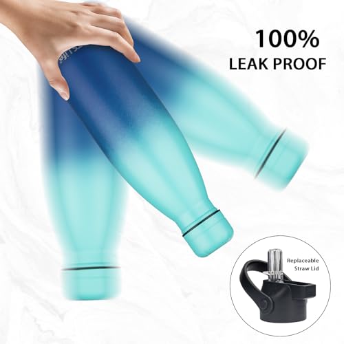 Insulated Water Bottle (2 Count)