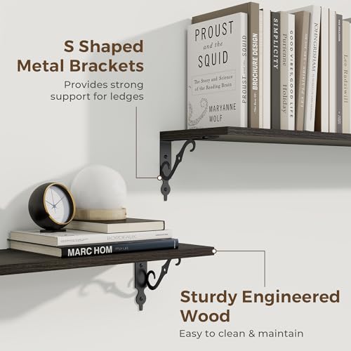 Floating Shelves for Wall Decor (2 Count)
