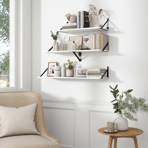 Deep Floating Shelves for Wall (2 Count)
