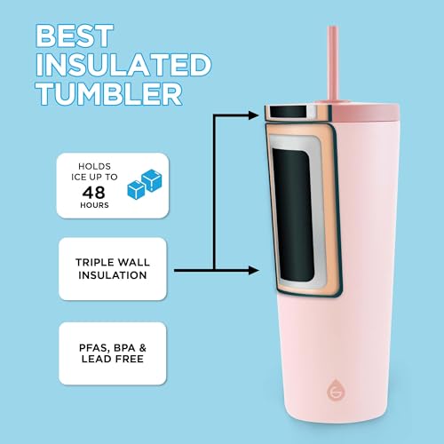 Jasper Insulated Stainless Steel Tumbler with Straw