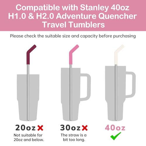 6PCS Stainless Steel Straws with Silicone Tip Fit for Stanley Cup (6 Count)
