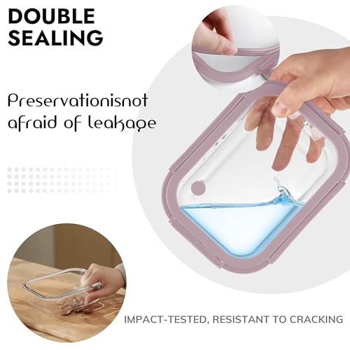 10 Pack Glass Food Storage Containers with Tempered Glass Lids (10 Count)