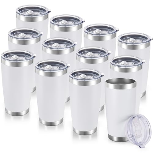 20 oz Tumblers Bulk Stainless Steel Tumbler with Lid (12 Count)