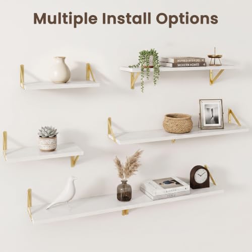 Wall Mounted Floating Shelves Set of 2