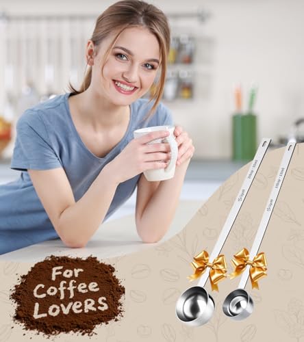 304 Stainless Steel Coffee Scoop (2 Count)