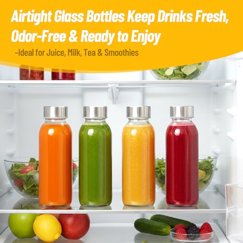 10 oz Glass Juice Bottles