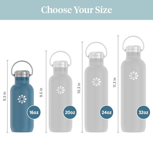 16oz Stainless Steel Sports Bottle with Chug Cap