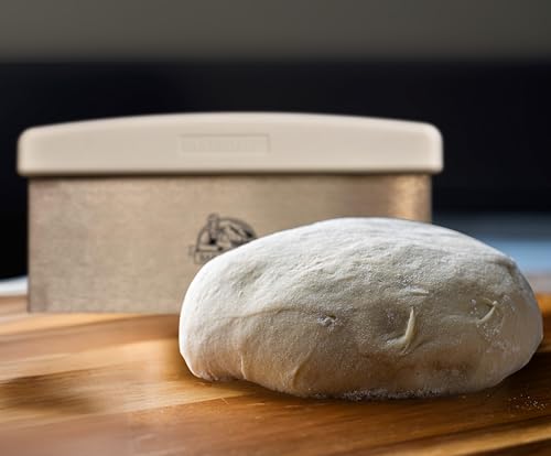 Large Bench Dough