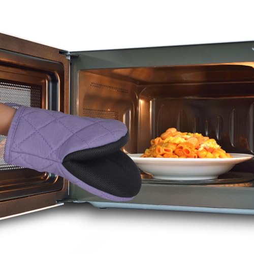 Mini Oven Mitts 2 (2 Count)