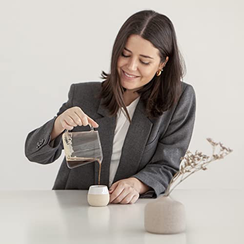 Ceramic Espresso Cups Set of 4 (4 Count)