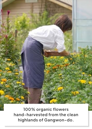 Korean Food Premium Flower Tea Gift Set Organic Caffeine (15 Count)
