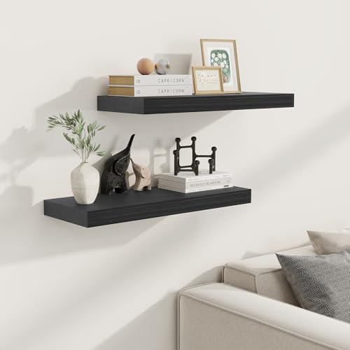 Black Floating Shelves 24 Inch Long (2 Count)