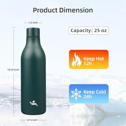 25 oz Insulated Stainless Steel Metal Water Bottle with Strap