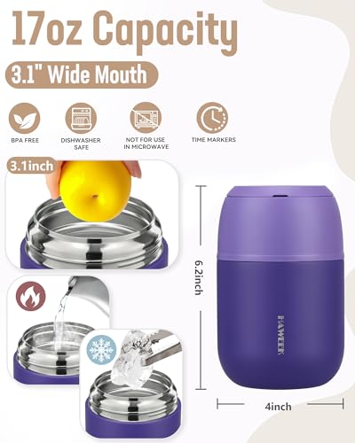 16oz Insulated Food Jar with Spoon