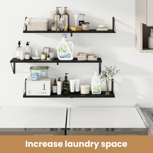 Floating Book Shelves for Wall (3 Count)