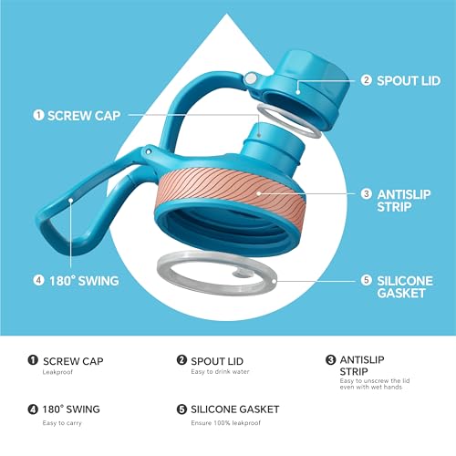Insulated Water Bottle 12oz