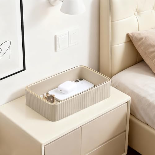 Desk Organizer Tray