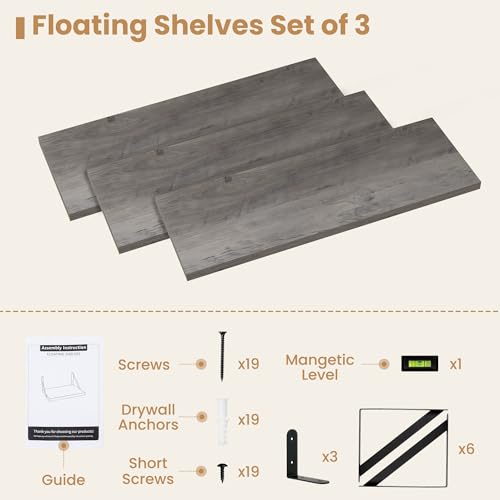 Floating Book Shelves for Wall (3 Count)