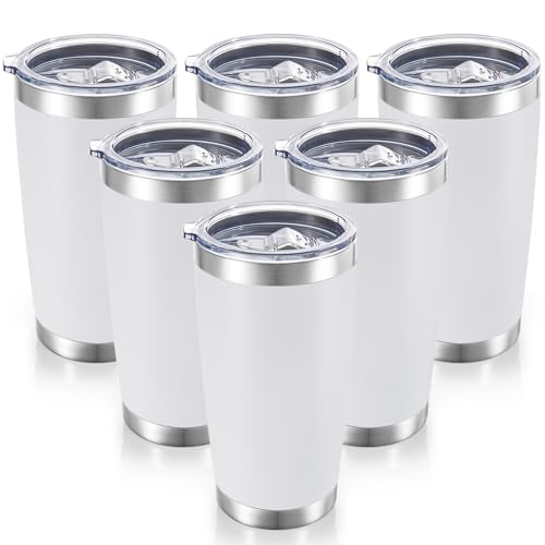 20 oz Tumblers Bulk Stainless Steel Tumbler with Lid (6 Count)