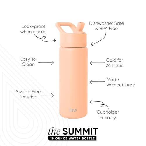 Insulated Water Bottle with Straw