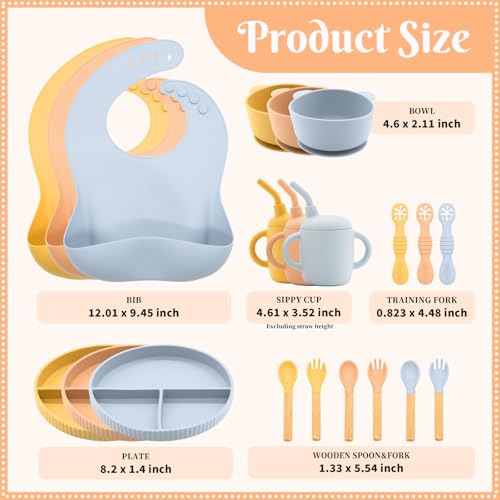 Silicone Baby Feeding Set 21 Pcs (21 Count)