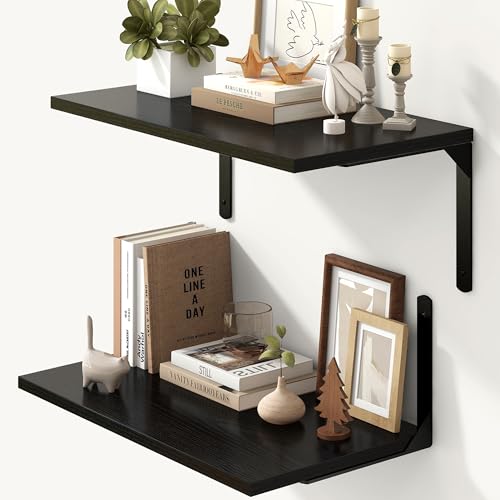 Floating Shelves for Wall (2 Count)