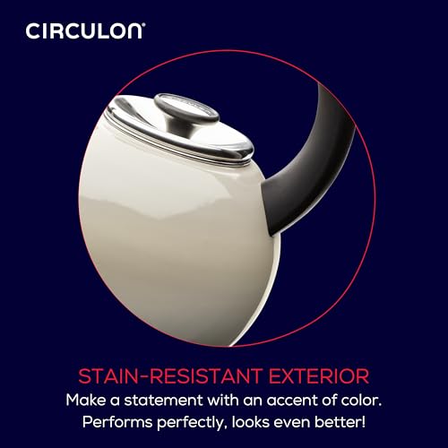 Enamel on Steel Whistling Induction Teakettle