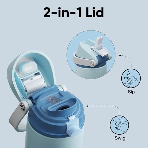 Insulated Water Bottle with Straw