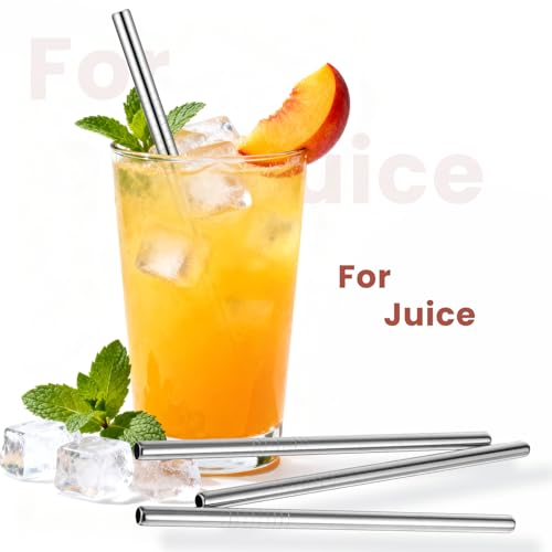 10Pcs Short Metal Straws (10 Count)