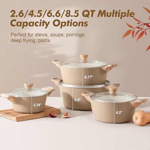 Ceramic Nonstick Stock Pot with Lid