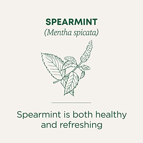 Organic Spearmint (48 Count)