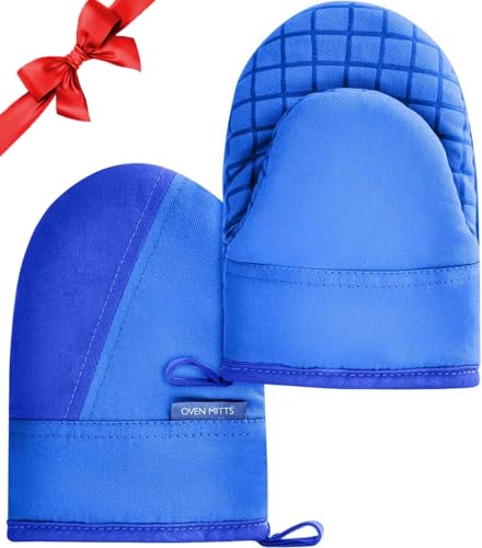 Mini Oven Mitts