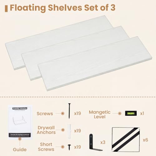 Floating Book Shelves for Wall (3 Count)